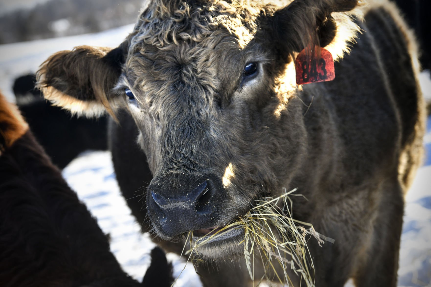 Exchange Regenerative Agriculture